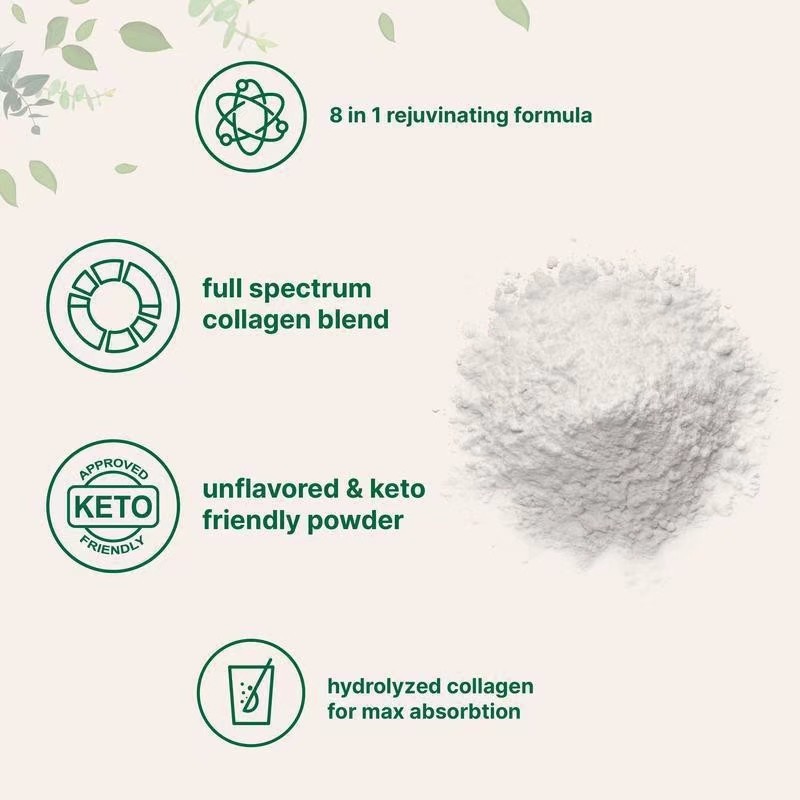 Collagen Peptide Powder – Premium Hydrolyzed Collagen Supplement Bulk Supply - Image 3